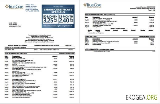 États Unis TrueCore Federal Credit Union relevé de compte Modèle Word et PDF, 2 pages